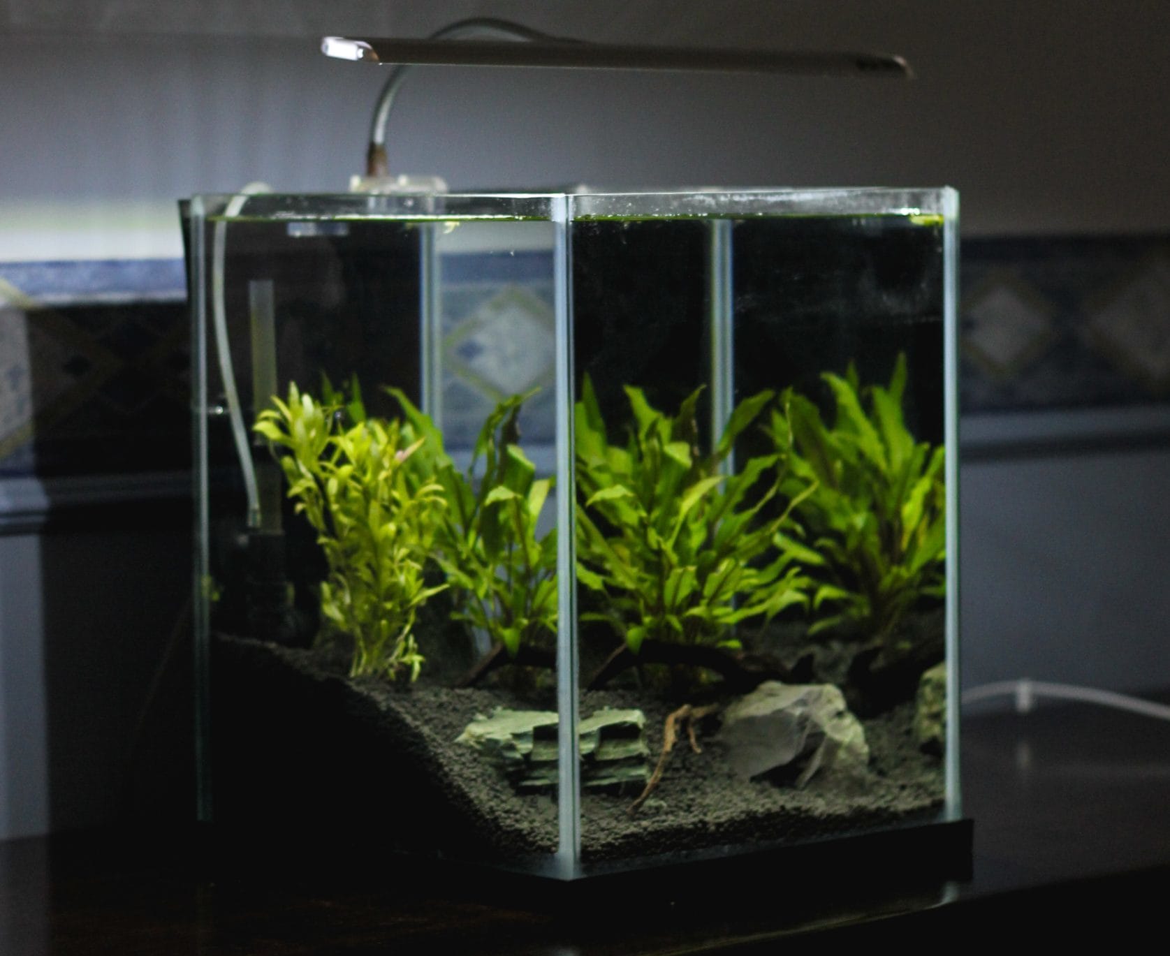 Aquarium