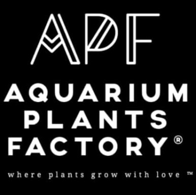 Aquarium plants factory logo