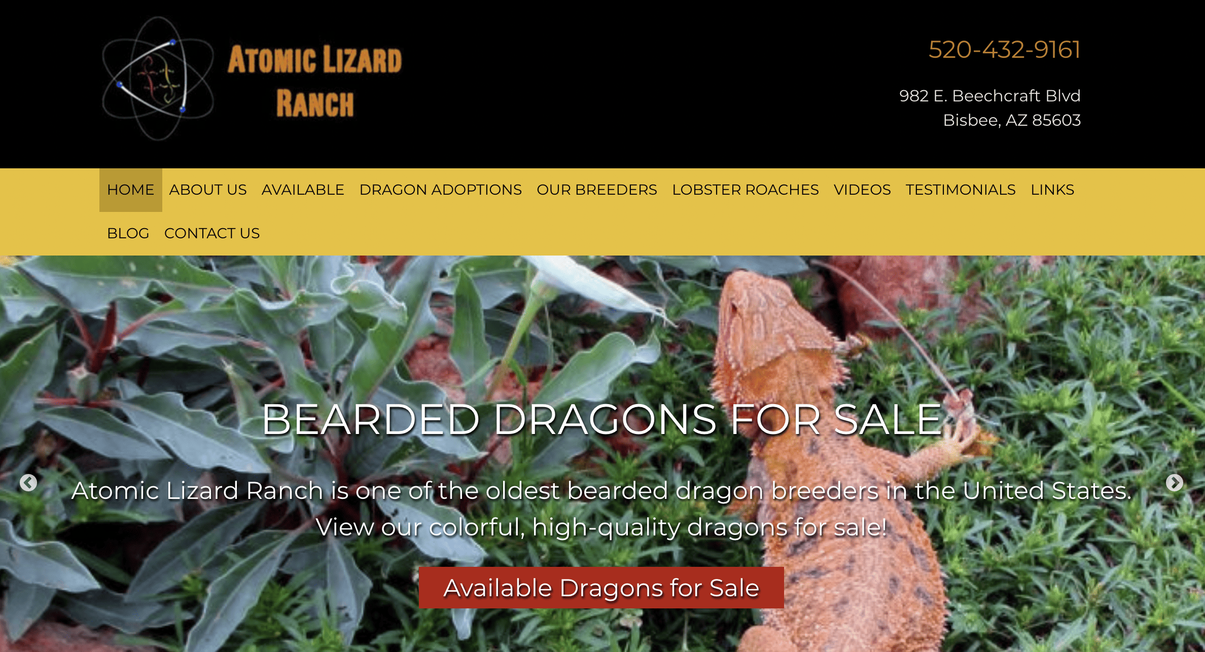 Atomic Lizard Ranch
