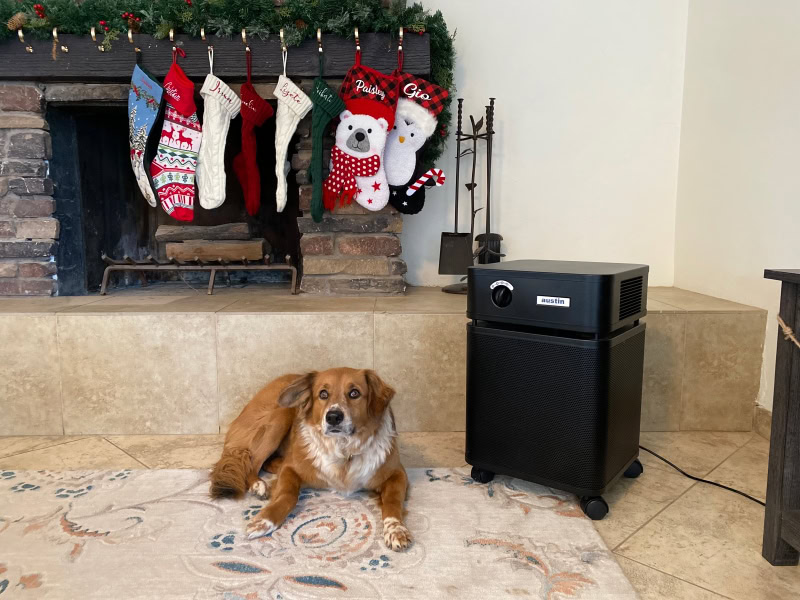 Austin HealthMate Air Purifier - halle lying mear the fireplace with the product