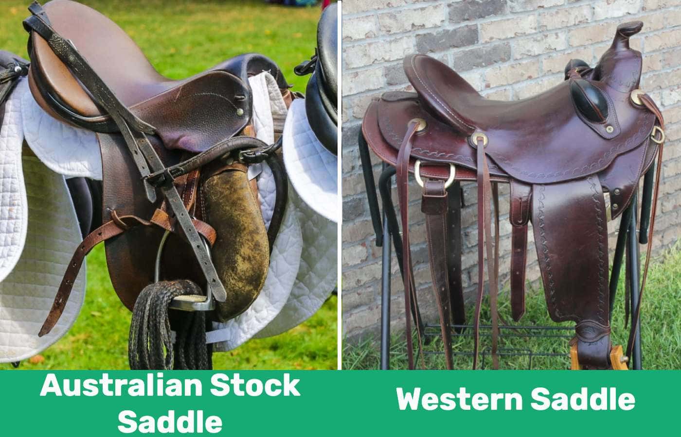 Australian Stock Saddle vs. Western Saddle