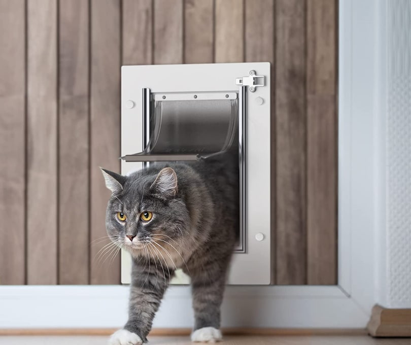 Baboni Pet Door for Wall