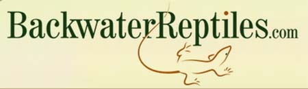 Backwater Reptiles