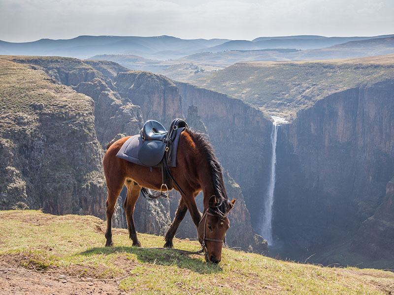 Basuto pony in front of Maletsunyane Falls