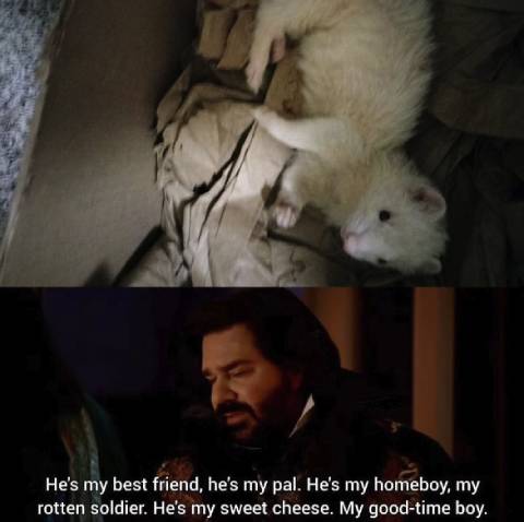 Best Friends Forever