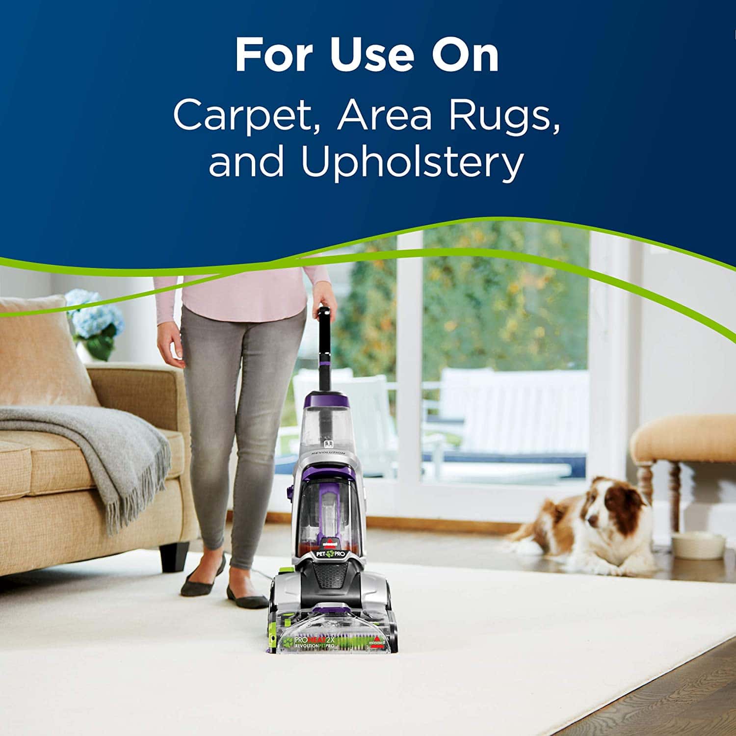 Bissell Professional Pet Urine Eliminator Oxy Carpet Cleaning Formula