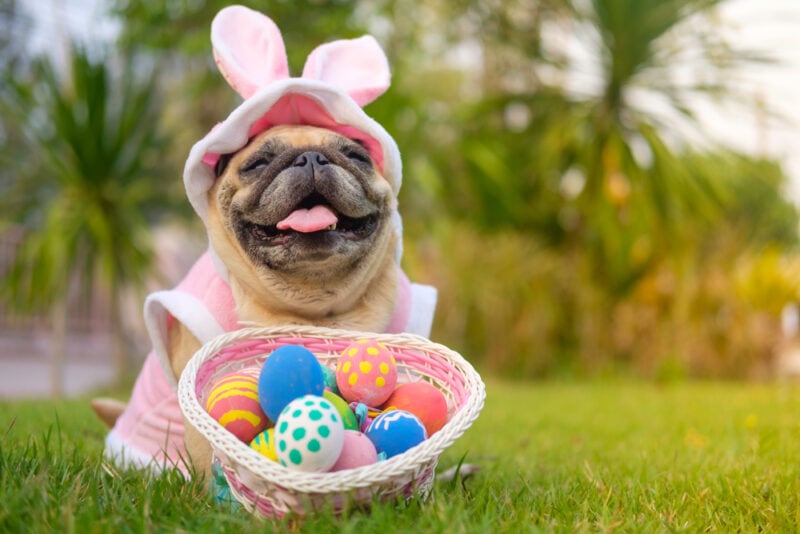 Ezzolo, Shutterstock