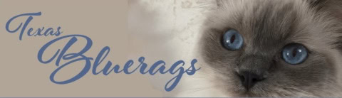 Bluerags logo