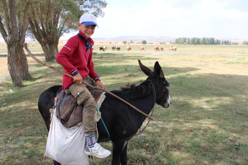 Boy Riding a Donkey