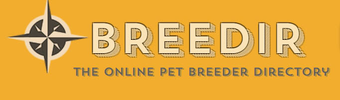 Breedir logo