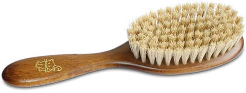 Bristle Brush