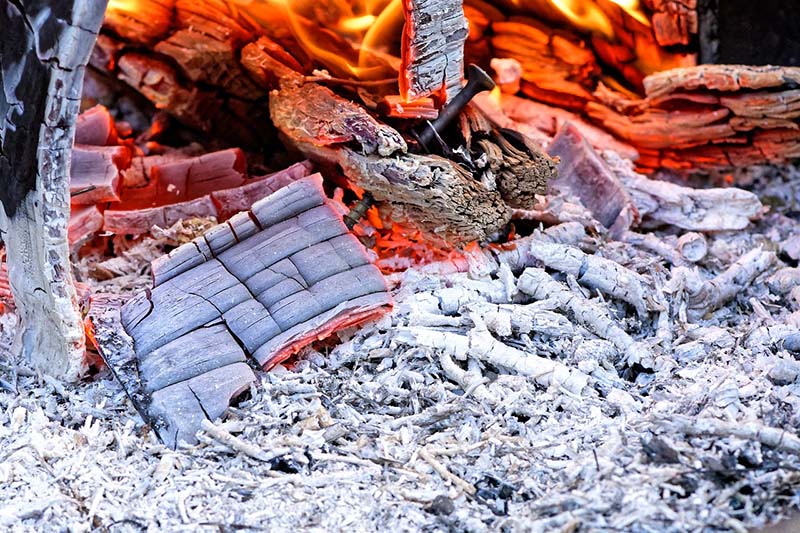 Burning wood and ash