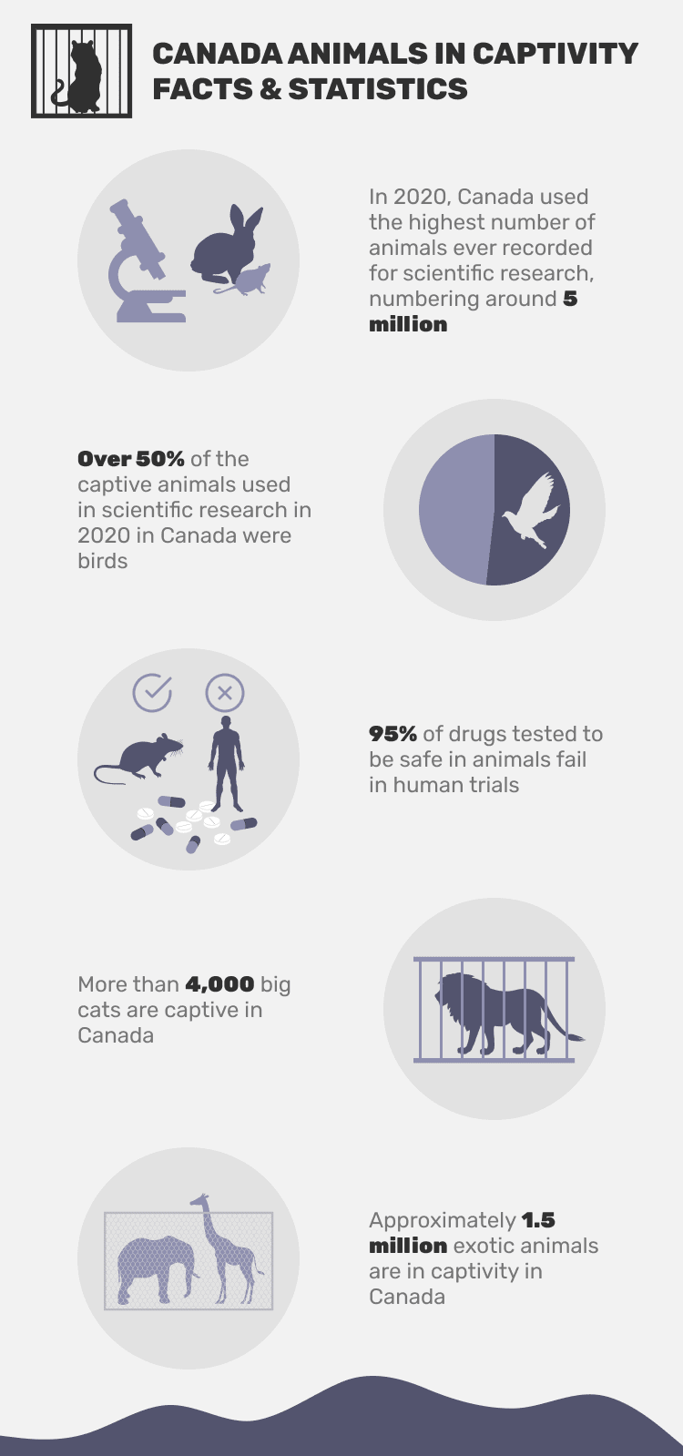CANADA_ANIMALS_IN_CAPTIVITY_FACTS_&_STATISTICS
