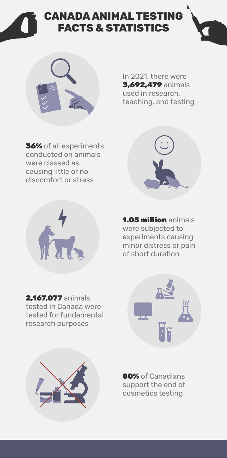 CANADA_ANIMAL_TESTING_FACTS_&_STATISTICS
