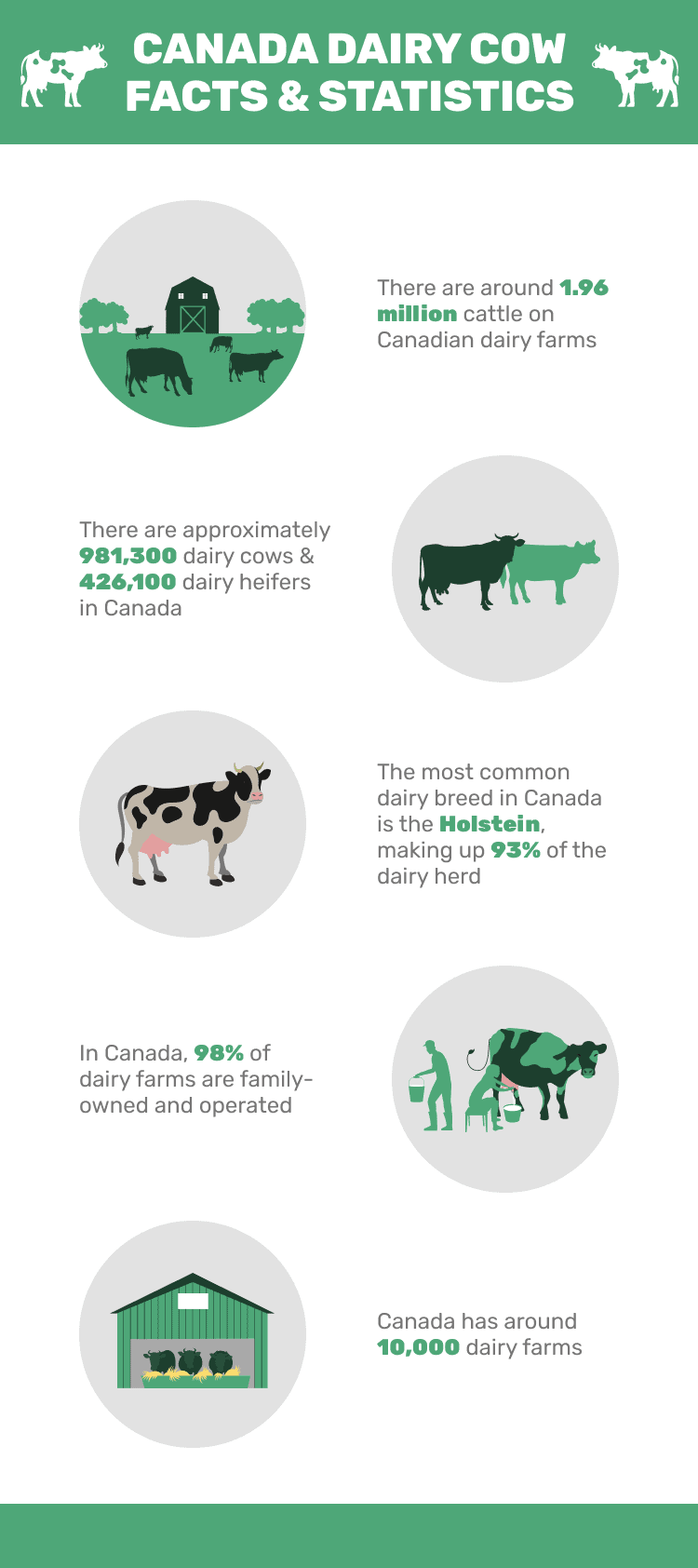 CANADA_DAIRY_COW_FACTS_&_STATISTICS