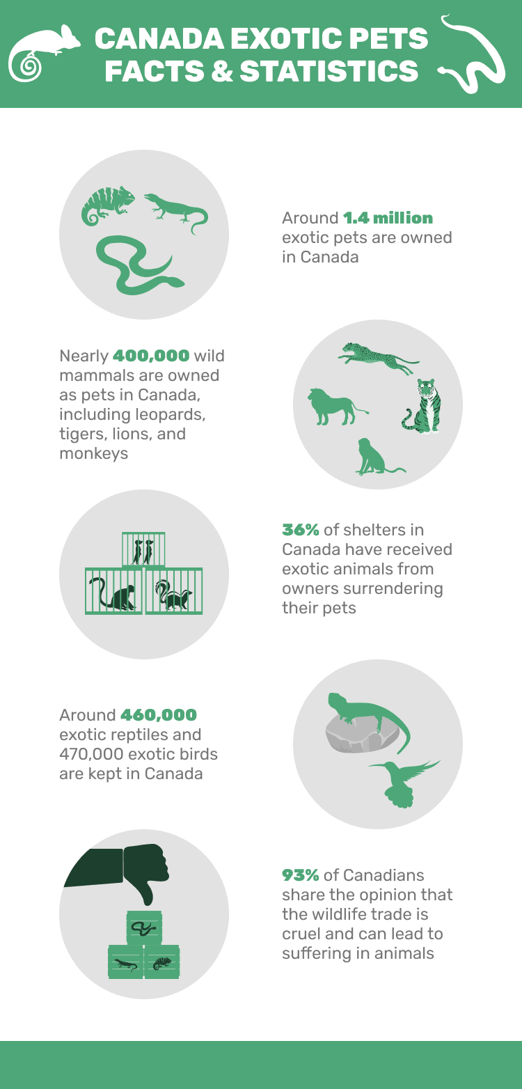 CANADA_EXOTIC_PETS_FACTS_&_STATISTICS