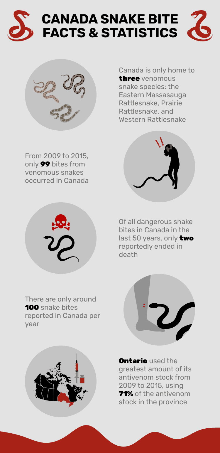 CANADA_SNAKE_BITE_FACTS_&_STATISTICS