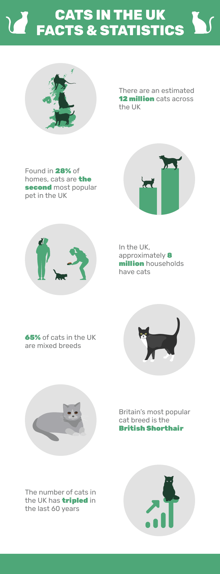 CATS_IN_THE_UK_FACTS_&_STATISTICS