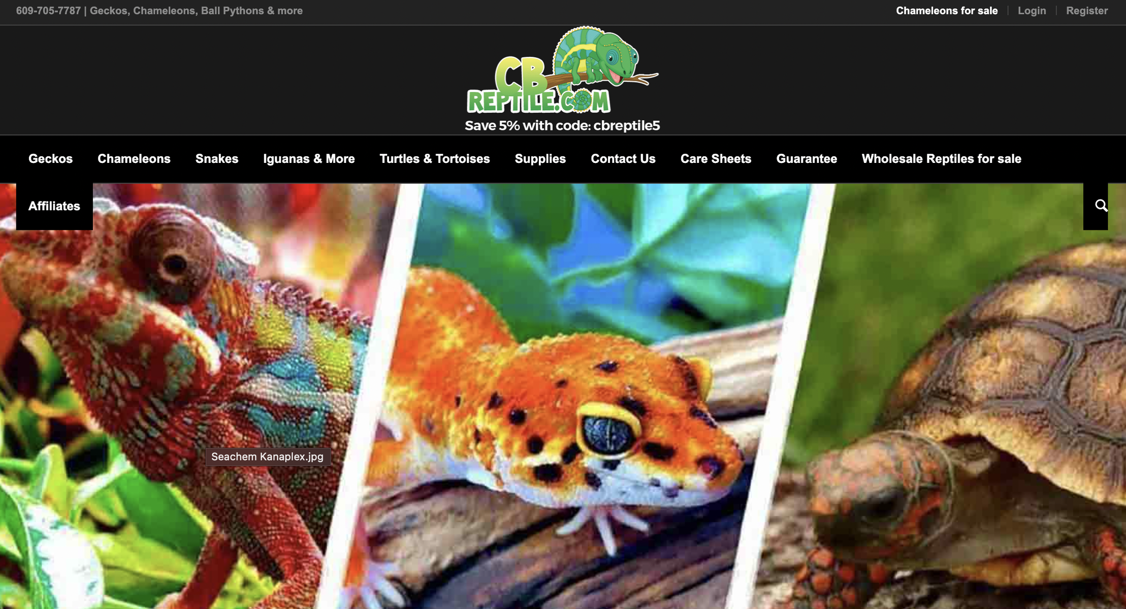 CB Reptile