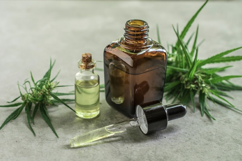 CBD oil