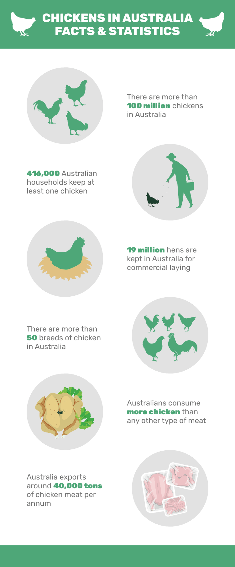 CHICKENS_IN_AUSTRALIA_FACTS_&_STATISTICS