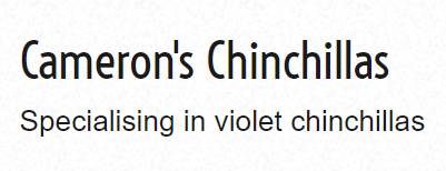 Cameron's Chinchillas