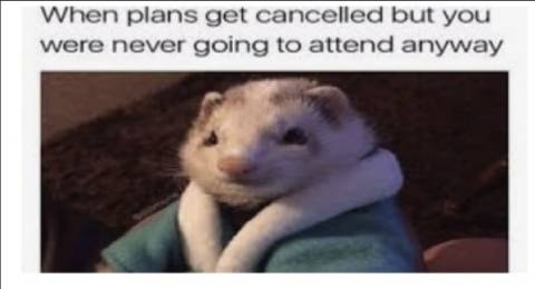 Canceled Plans