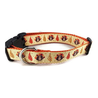 Canine Design Thanksgiving Dog Collar