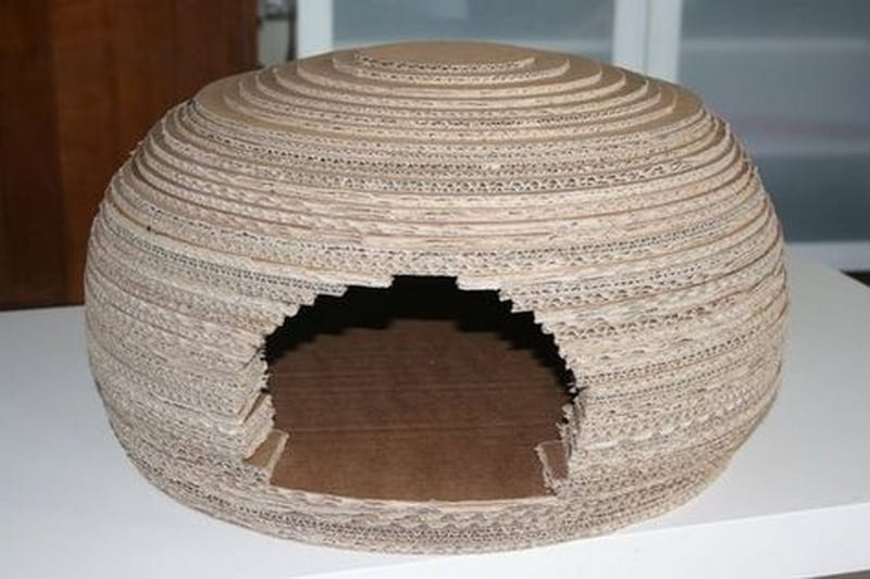 Cardboard Igloo