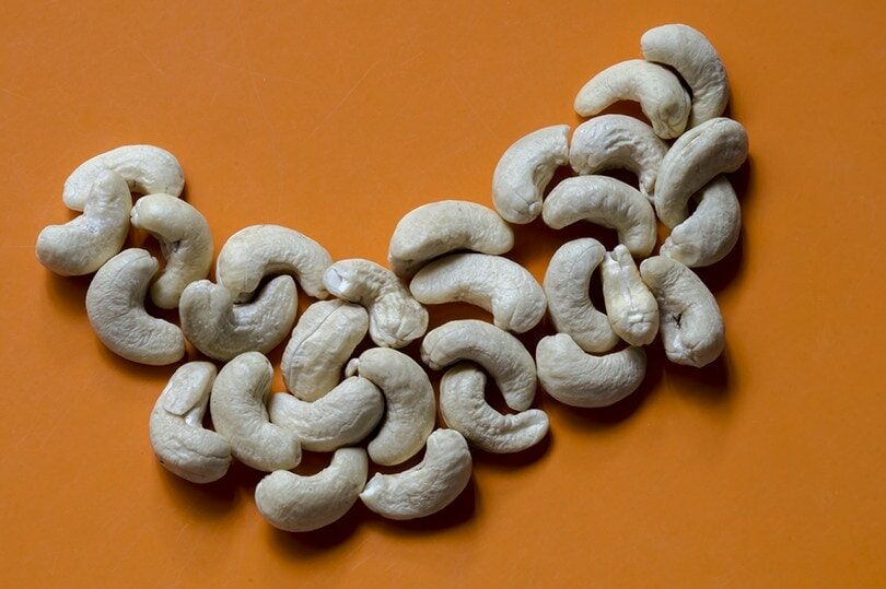 cashew-nut-8308829