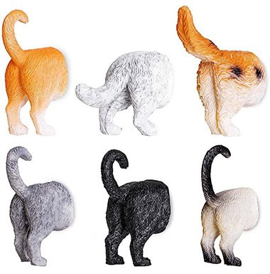 Cat Butt Magnets