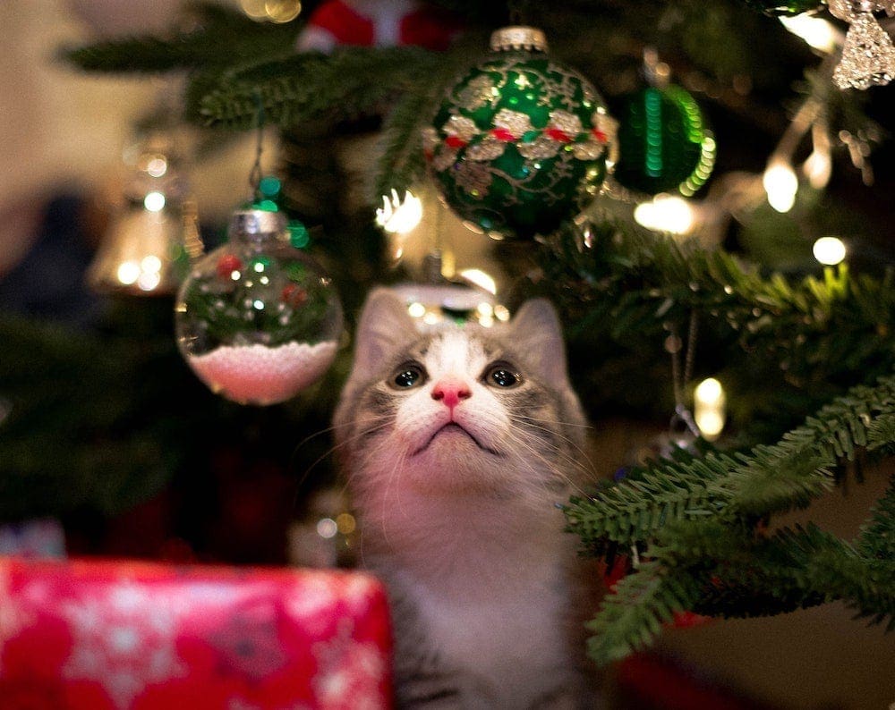 Cat Christmas tree ornaments