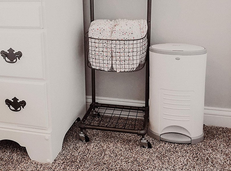 Cat Litter Disposal