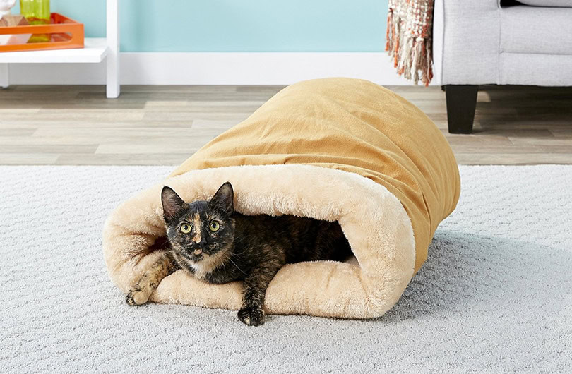 Cat Self Warming Bed