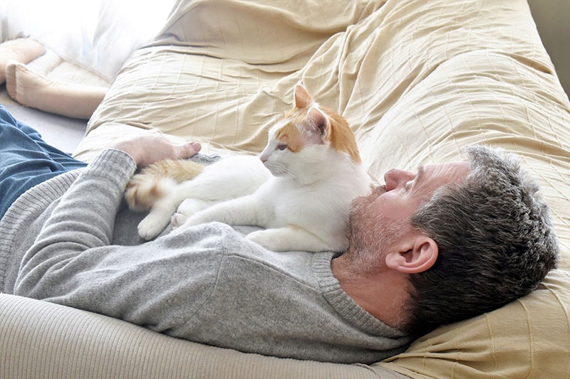 Cat laying on owner's chest