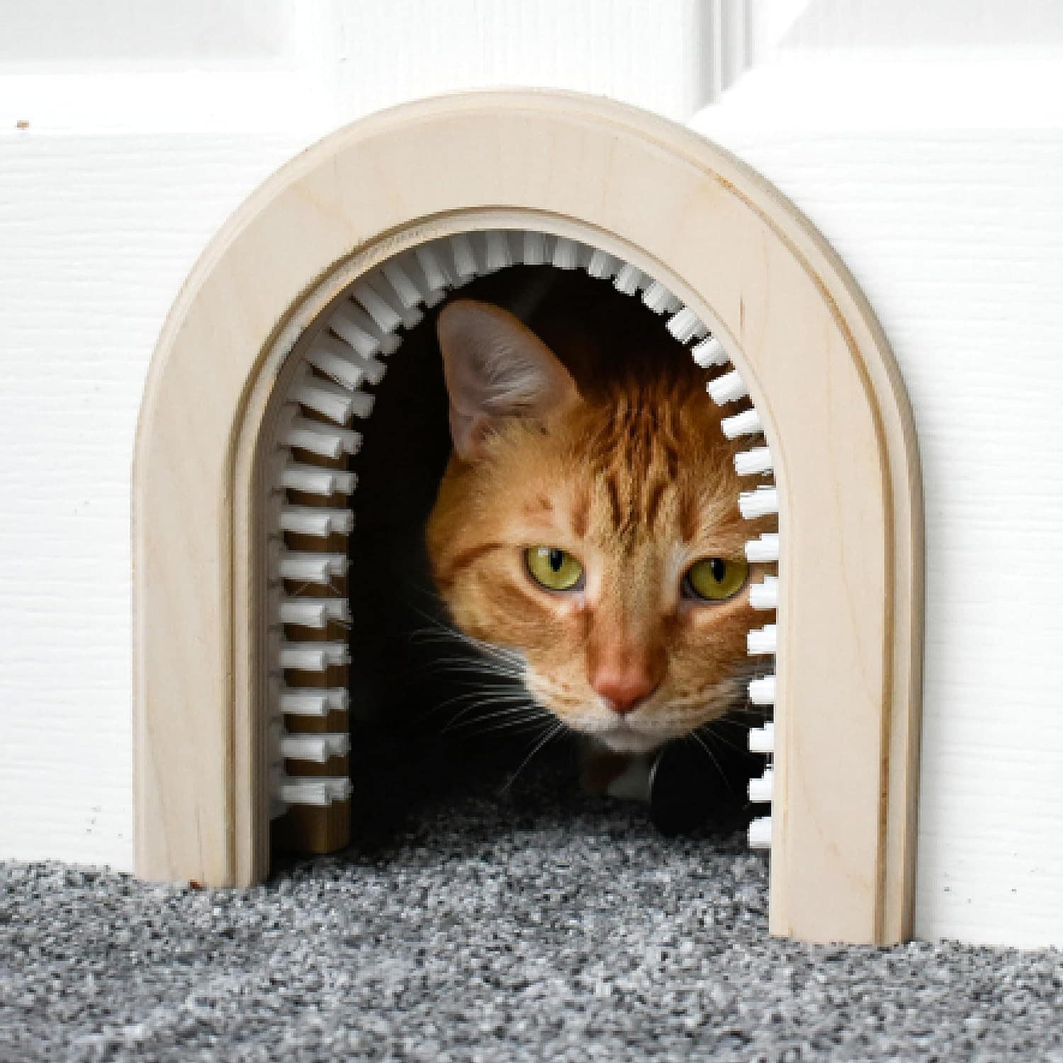 Cathole Wood Cat Door Classic Model