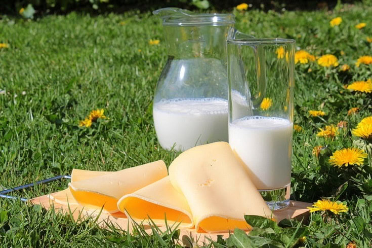 Cheese milk