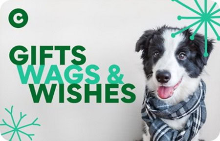 Chewy Holiday Gift card