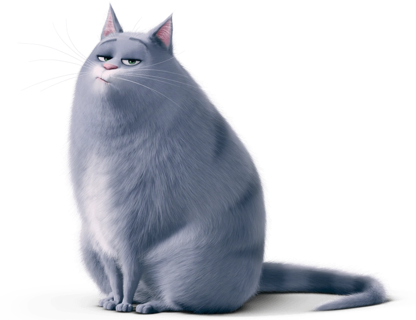 Chloe from the movie Secret Life of Pets
