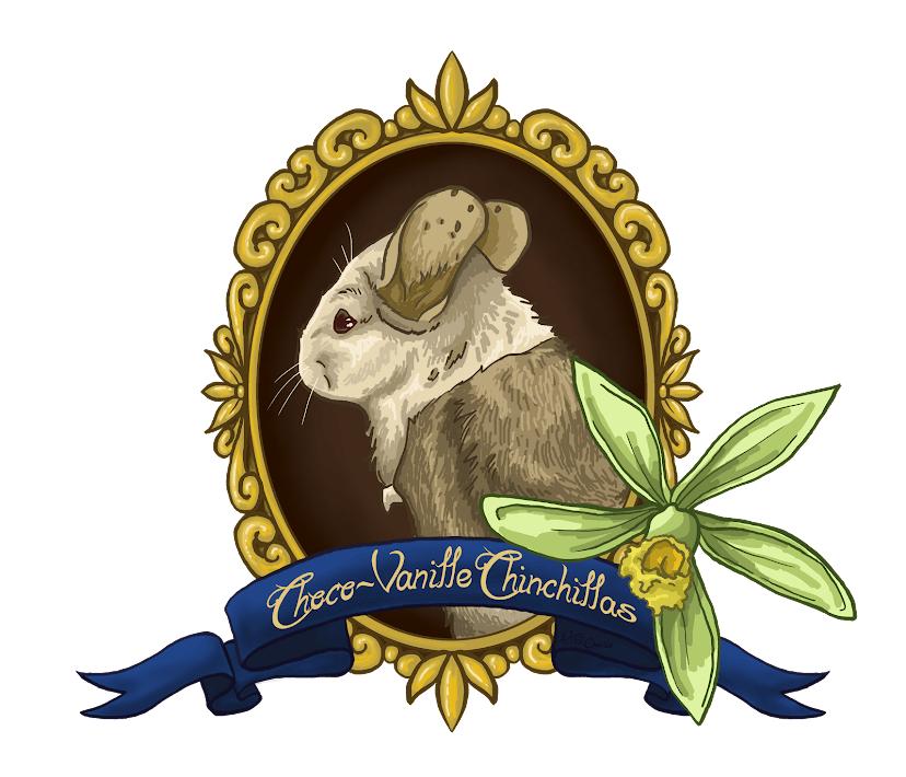 Choco-Vanille Chinchillas logo