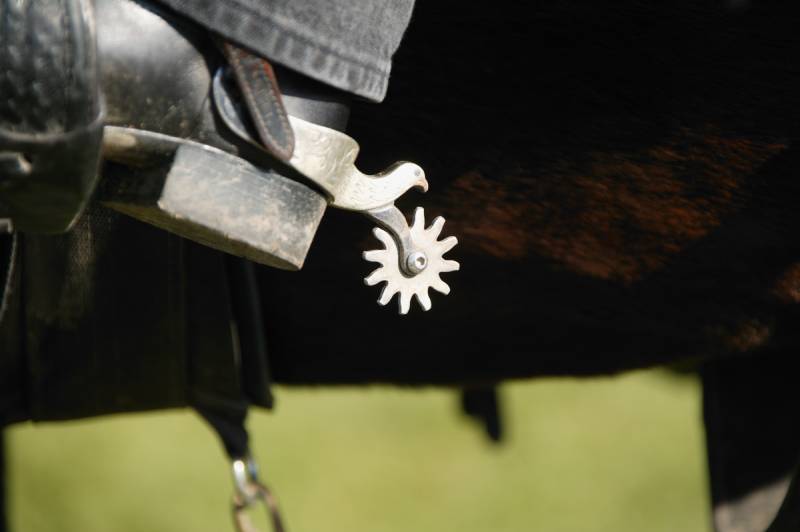 Close-up of a boot and spur on a policeman riding a horse