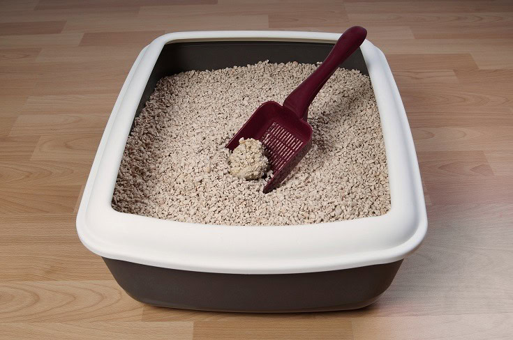 Clumping Litter