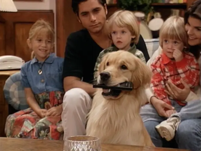 Comet the dog from Full House