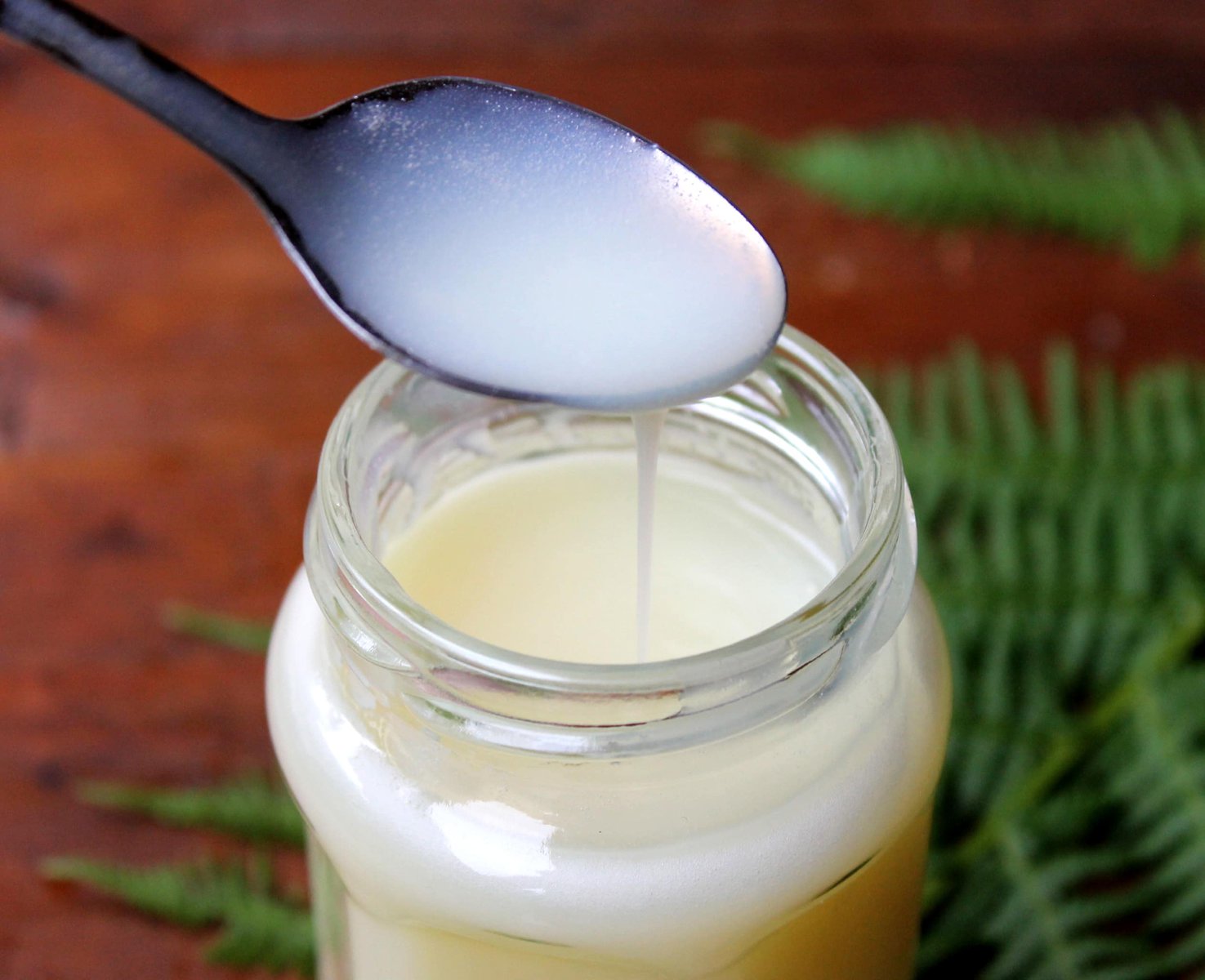Condensed Evaporated Milk