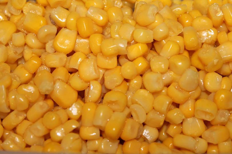 Cooked Corn