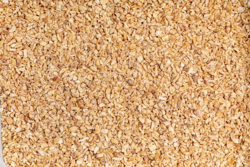 Corn cat litter