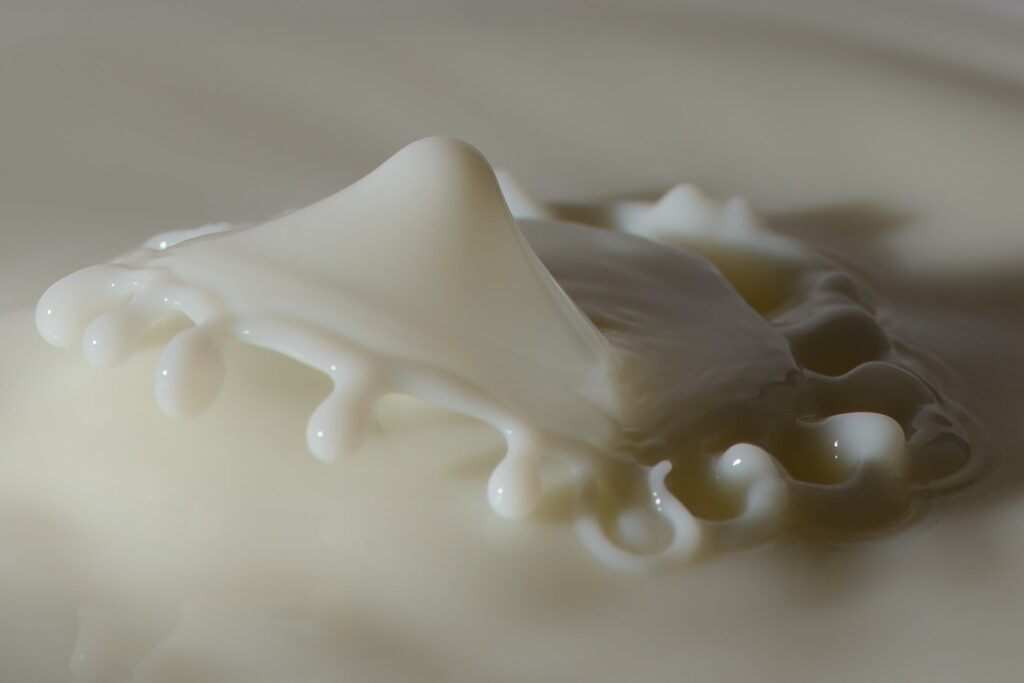 Cow Milk