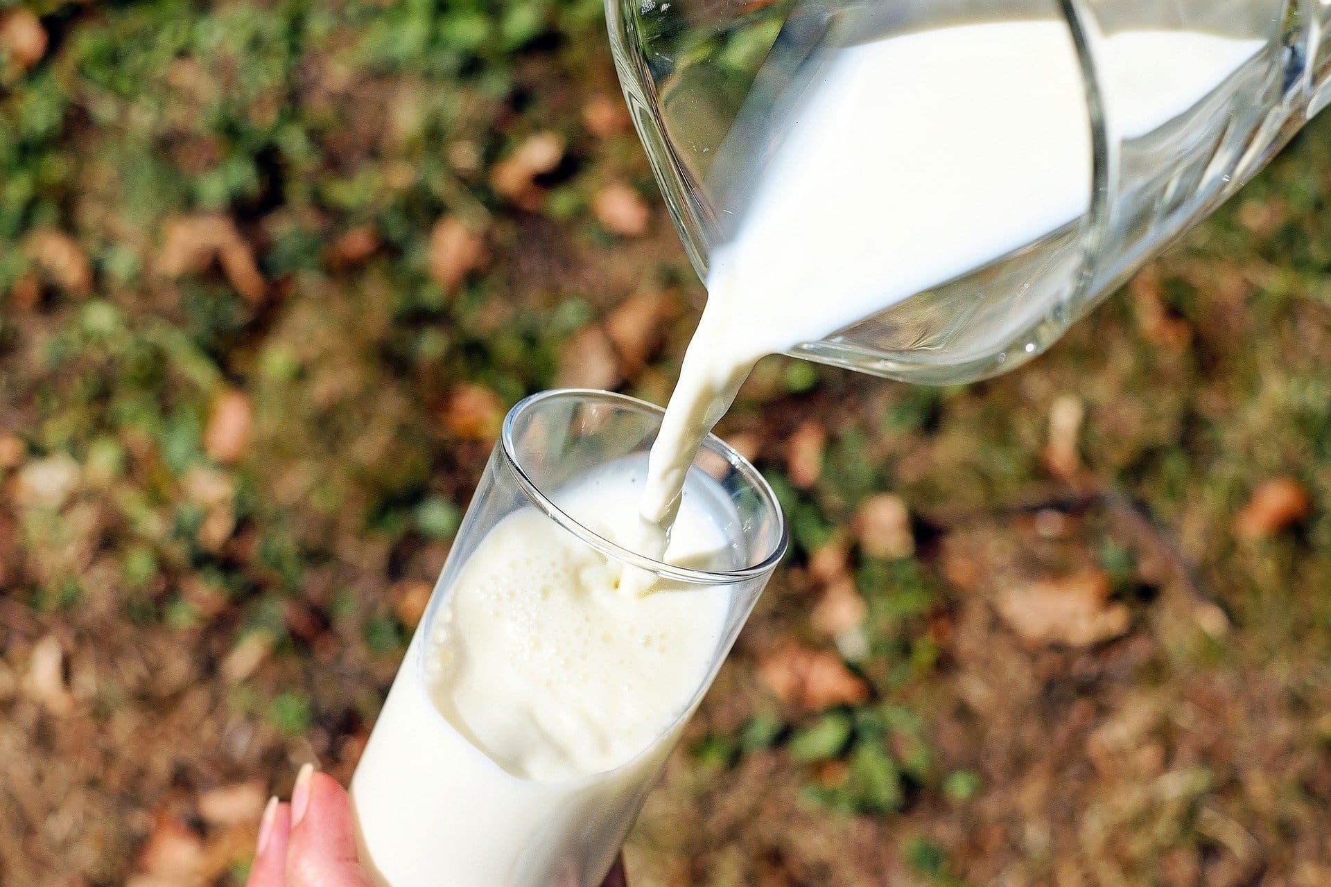 Cow milk_Pixabay