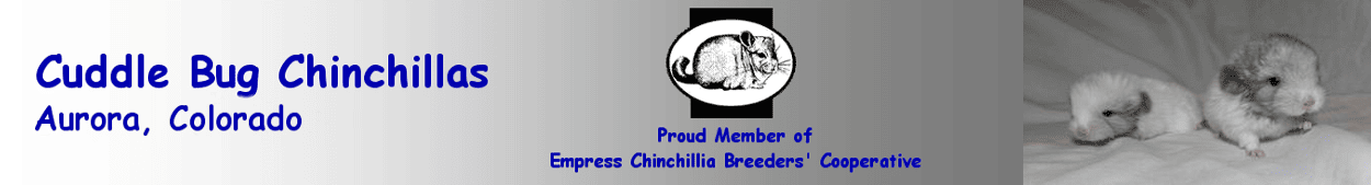 Cuddle Bug Chinchillas logo
