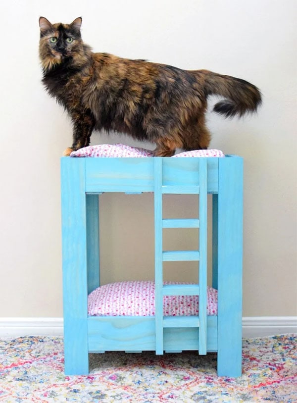 Cute Wooden Cat Bunk Bed by Dream a Little Bigger